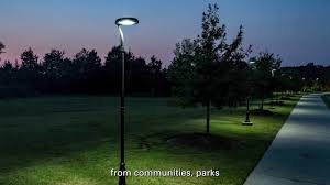Solar area light on tall pole illuminating public park at night
